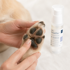 Massage doux du gel Second Paw™ Akhato sur les coussinets du chien pour former un film protecteur fin et non gras