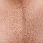 poil ras chiot propre uniforme sans particules, peau saine après utilisation shampoing dermatologique doux