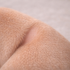 Pli cutané propre et sain chez le chien après utilisation de DermClean™ pour un nettoyage dermatologique doux
