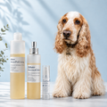 Trio Bain & Brossage™ Akhato avec DermPoil Long™, DermoGliss™ et DermoDénou™, présenté aux côtés d’un cocker à poil long sur fond bleu clair.